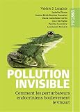 Pollution invisible