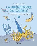 Image de couverture Amazon