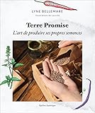 Terre promise