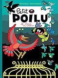 Petit Poilu Tome 19 Le Prince Des Oiseaux