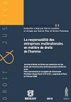 La responsabilité des entreprises multinationales en matière de droits de l'homme