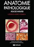 Anatomie Pathologique : Atlas De Wheater