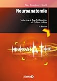 Neuroanatomie