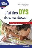 J'ai Des Dys Dans Ma Classe ! Guide Pratique Pour Les Enseignants