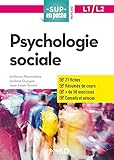 Psychologie Sociale