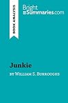 Junkie by William S. Burroughs : book analysis