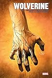Wolverine Les Origines