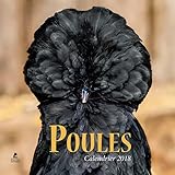 Poules Calendrier 2018