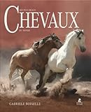 Les Plus Beaux Chevaux Du Monde