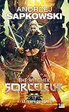 Sorceleur, Tome 4: Le Temps Du M%C3%A9pris