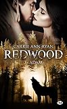 Redwood T3 Adam