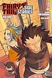 Fairy Tail   Side Stories T02: Road Knight