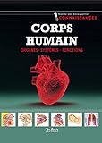 Corps Humain Organes Systmes Fonctions