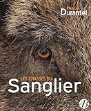 Les Chasses Du Sanglier