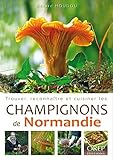 Trouver Reconnatre Et Cuisiner Les Champignons De Normandie