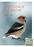 Les Oiseaux Du Jardin