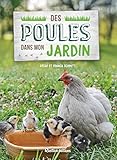 Des Poules Dans Mon Jardin