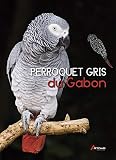 Perroquet Gris Du Gabon