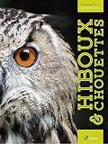 Hiboux Et Chouettes