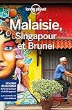 Malaisie Singapour Et Brunei 9ed