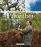 Palombes : L'oiseau Et Ses Chasses