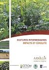 Cultures intermédiaires: impacts et conduite