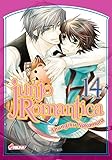 Junjo Romantica T14
