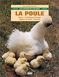 Cahiers De L'%C3%A9levage : La Poule