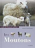 Moutons : Guide De L'%C3%A9leveur Amateur