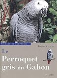 Le Perroquet Gris Du Gabon