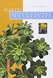 Plantes Succulentes