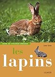 Les Lapins