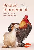 Poules Dornement Et De Bassecour