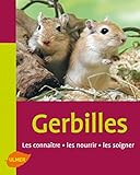 Les Gerbilles Les Connatre Les Nourrir Les Soigner