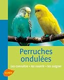 Perruches Ondul%C3%A9es