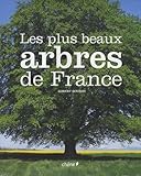 Les Plus Beaux Arbres De France