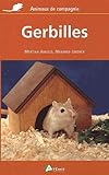 Gerbilles