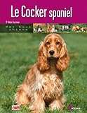 Le Cocker Spaniel
