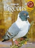 Llevage Des Pigeons