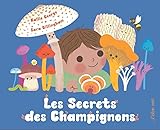 Les secrets des champignons