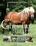 Chevaux De Trait Nos