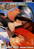 The King Of Fighters Zillion Tome 15 