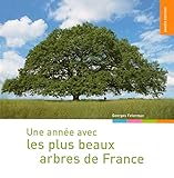 Une Annee Avec Les Plus Beaux Arbres De France