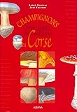 Champignons Petit Guide De Cueillette En Corse