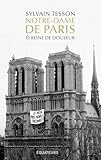 Notre Dame De Paris   %C3%B4 Reine De Douleur