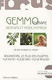 Gemmothrapie Bienfaits Et Mode Demploi Bourgeons Les Plus Des Plantes