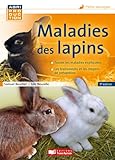 Maladies Des Lapins