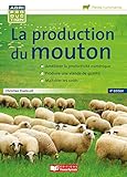 La Production Du Mouton