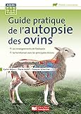 Guide Pratique De L'autopsie Des Ovins