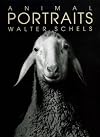 Animal Portraits